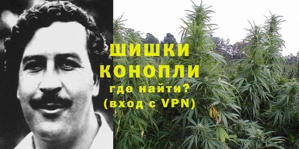 мяу мяу мука Вяземский