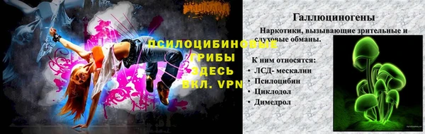 мяу мяу мука Вяземский