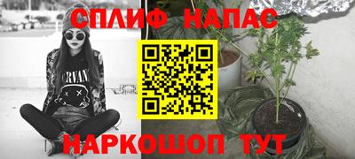 скорость Бийск