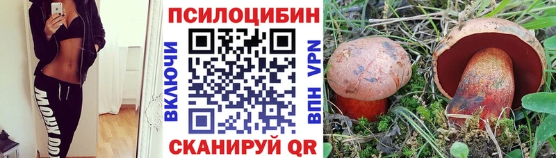 Галлюциногенные грибы мицелий Дивногорск
