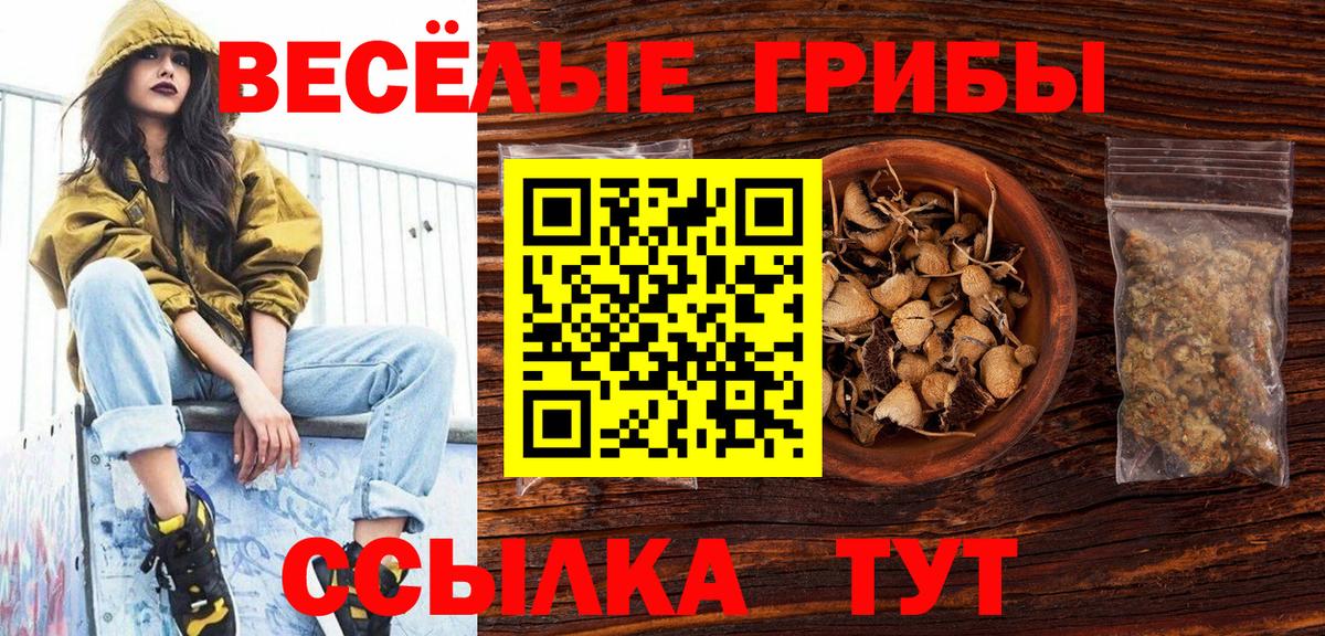 Дивногорск  Псилоцибиновые грибы MAGIC MUSHROOMS  Галлюциногенные грибы GOLDEN TEACHER  Вход с VPN 