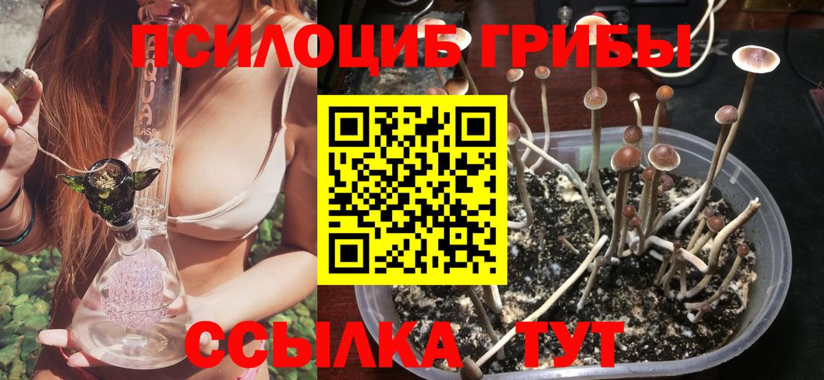 Галлюциногенные грибы мухоморы Дивногорск
